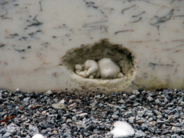 Einen Lebensweg zeichnen 9 